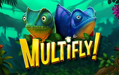 Multifly